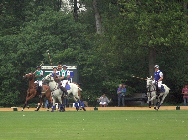 Polo_Art   021.jpg